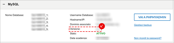 Dettaglio MySQL: campo Versione evidenziato, stato ATTIVO e pulsante Vai a phpMyAdmin.