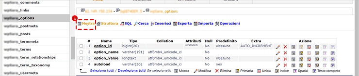 phpMyAdmin: in wp_options seleziona Mostra per vedere le righe (option_id, option_name, option_value, autoload).